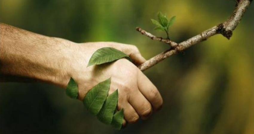 آسیب‌های گردشگری به طبیعت و راهکارهای جلوگیری از آن